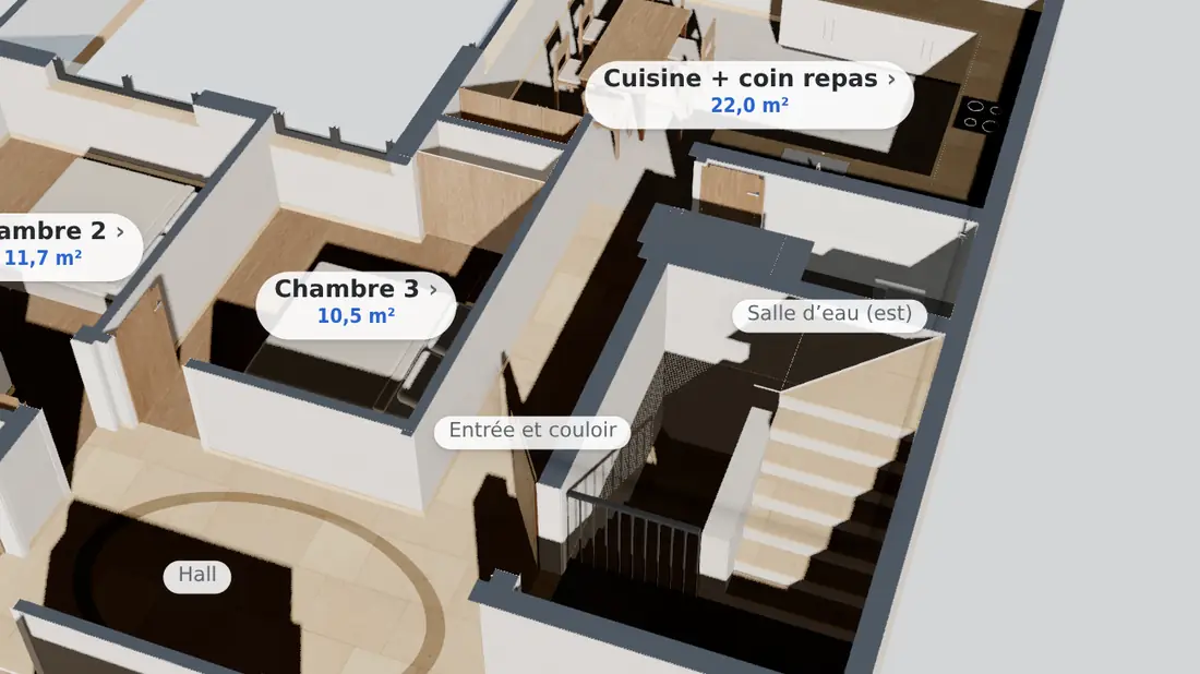 Visite de la maison exemple : le salon vu depuis le hall.